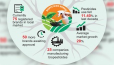 Biopesticide use, market swell on safe food demand 