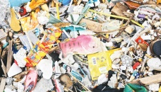 Pacific Ocean garbage patch is immense plastic habitat 