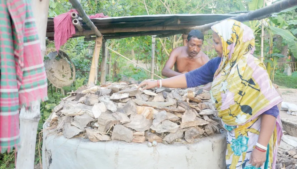 Slaked lime production faces extinction threat 