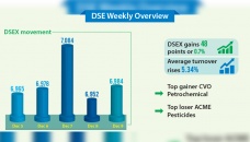 DSE experiences volatile week 