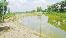 BMDA irrigates 5 lakh hectares cropland in Rajshahi 