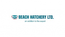 Beach Hatchery starts to recover losses 