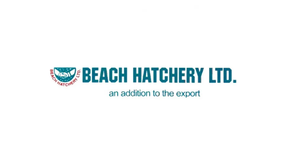 Beach Hatchery starts to recover losses 