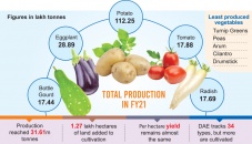 Production of top 5 vegetables goes up in FY21 