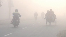 Mild cold wave sweeps over Panchagarh 