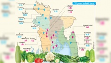 Rangpur on top in veggie production 