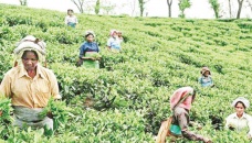 Several injured in RAB-tea garden workers’ clash in Ctg 