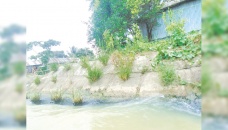 Vetiver grass piloted as cost-effective tool for dam protection 