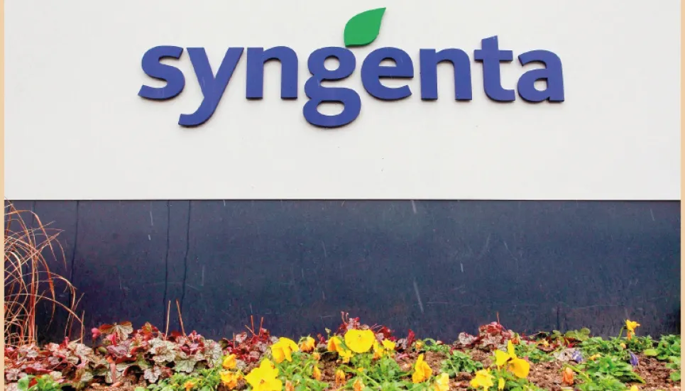 Syngenta appeals Italy’s veto of seed producer deal 