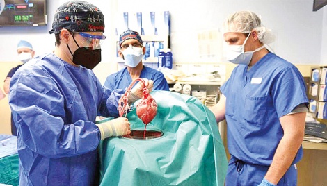 US man gets pig heart in world-first transplant