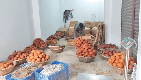 Date palm jaggery business picks up in Natore 