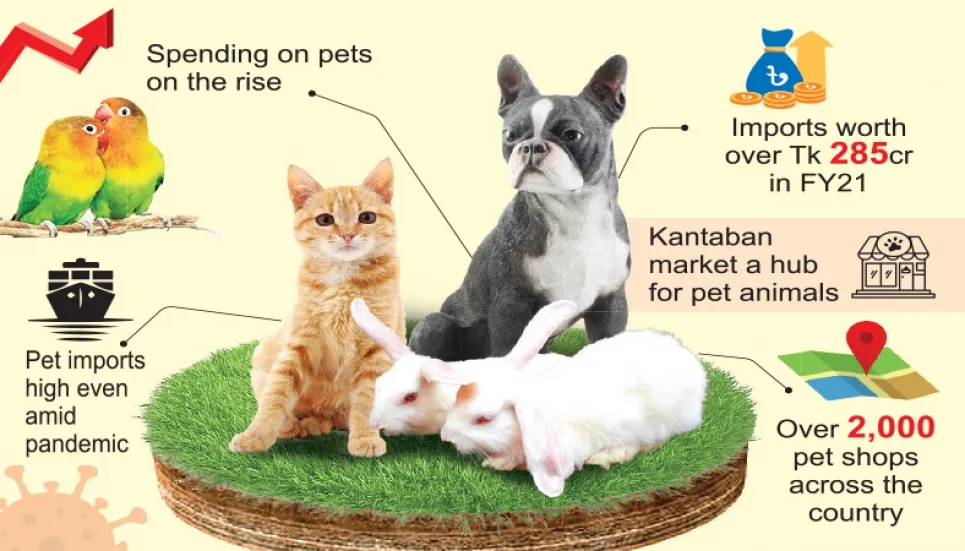 Pet culture grows, business too