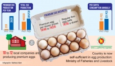Premium egg market expanding 