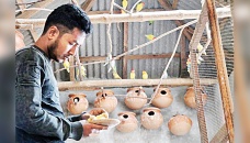 Aviculture empowers Bogura youth