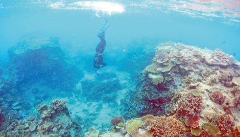 Australia PM promises $700m more to protect Great Barrier Reef 