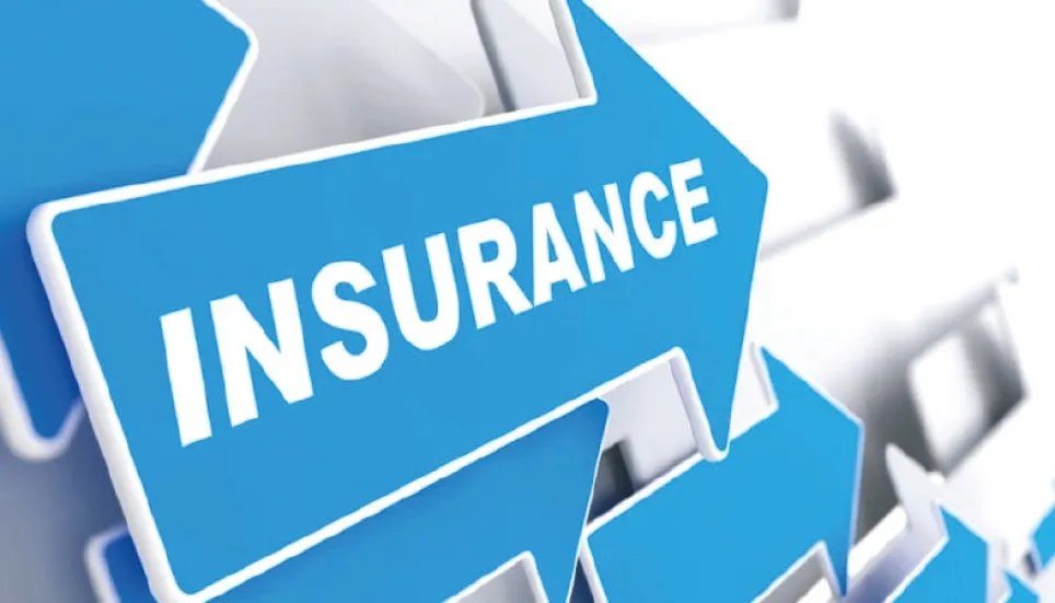 Problems and prospects of insurance sector in Bangladesh 
