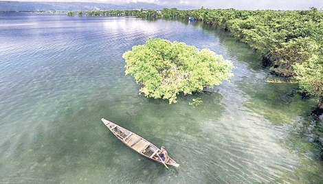 Tanguar Haor biodiversity facing threats