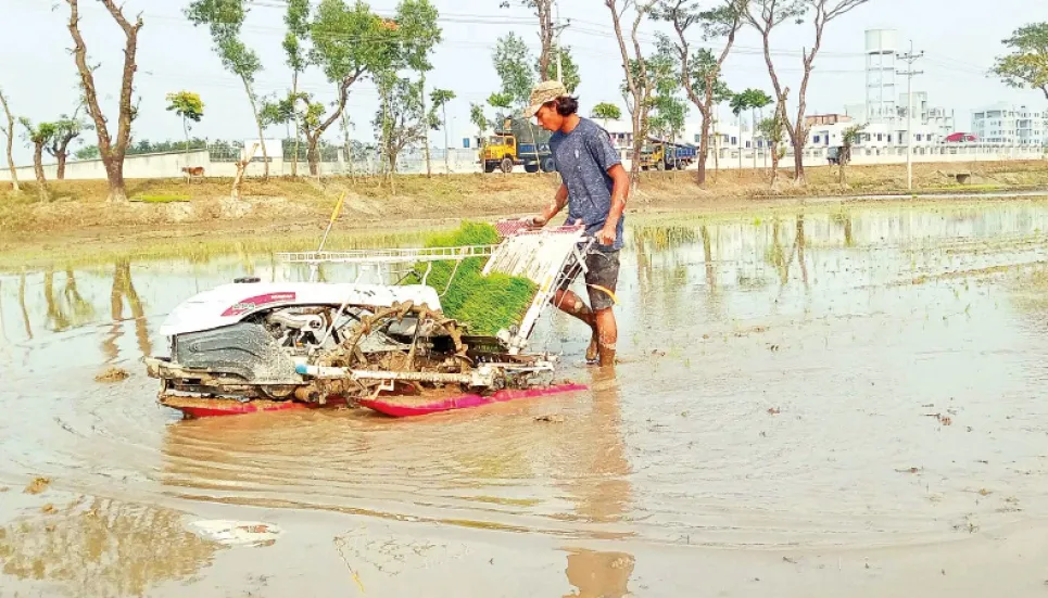 Paddy transplanters now popular among Rangpur farmers 