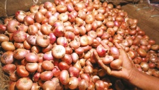 Onion prices double in a week 