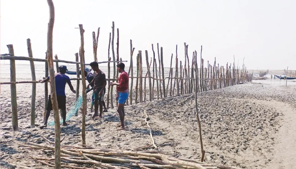 Displaced people join hands to save newly emerged land in Sandwip 