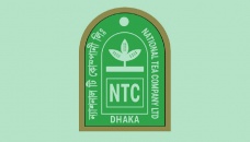 Independent director appointed at NTC 