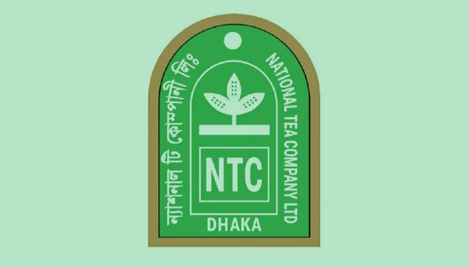 Independent director appointed at NTC 