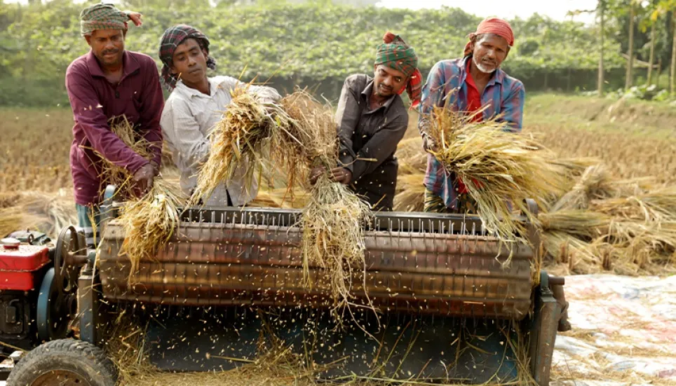 73 varieties of rice developed in 13 years