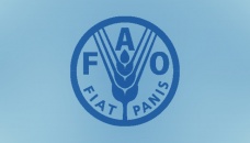 Agri digitisation top priority at FAO conf 