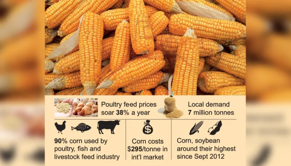 Corn prices rise 70% in seven months 