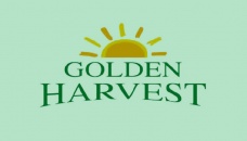 ‘Golden Harvest fails to make overdue coupon payments’ 