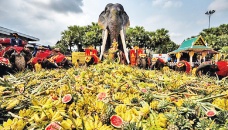 Thailand lays out buffet for elephants in national celebration 