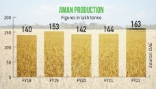 Aman surpasses FY22 production target 