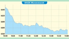 DSEX plunges below 6,600-level 