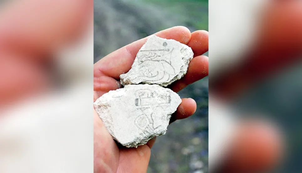 Earliest evidence of Maya calendar found - The Business Post