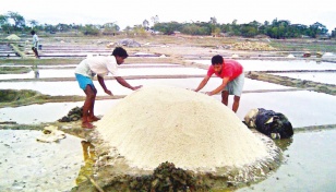 Bangladesh’s salt cultivation breaks 62-yr record