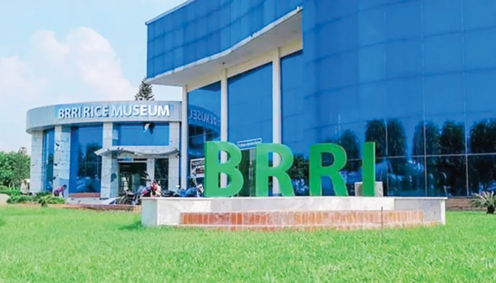 BRRI opens first rice museum in Gazipur