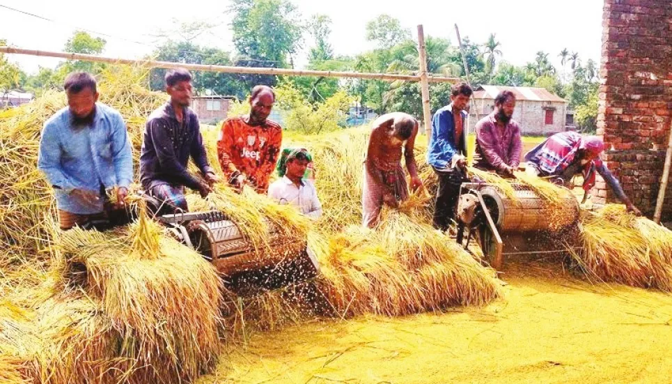 Bumper Boro production likely in Rangpur region 