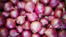 Onion market unstable as prices up Tk 10 