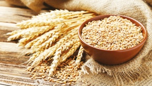 Russia proposes wheat export to Bangladesh