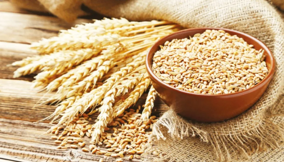 Wheat market heats up despite ample stock, supply 