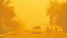 Thousands hospitalised as latest sandstorm brings Iraq to standstill 