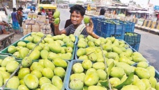 Mangoes start arriving in Rajshahi markets 