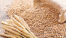 Wheat market in the grip of middlemen