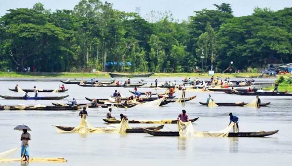 Halda fish egg collectors brood on misfortune