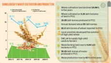 Crisis looms as wheat loses govt priority 