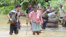 Half a million flee floods in northeast India 
