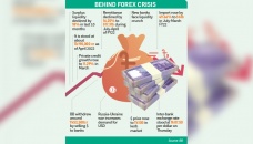 Forex crisis weighs on banks’ liquidity 