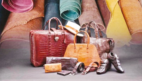 Leather goods and shoe manufacturing industry experiencing continuous growth 
