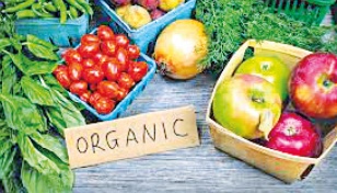 Demand for organic food on the rise 