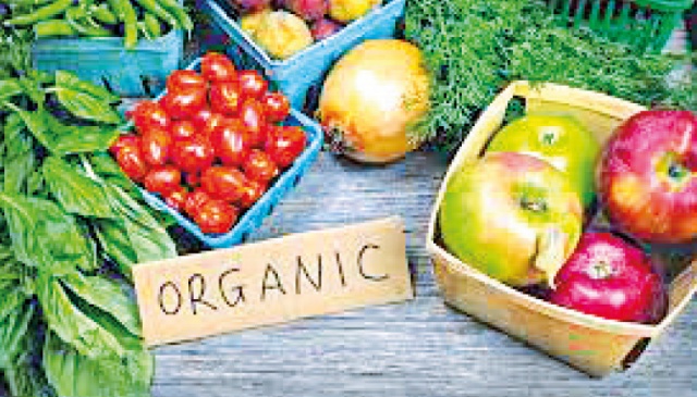 Demand for organic food on the rise - The Business Post